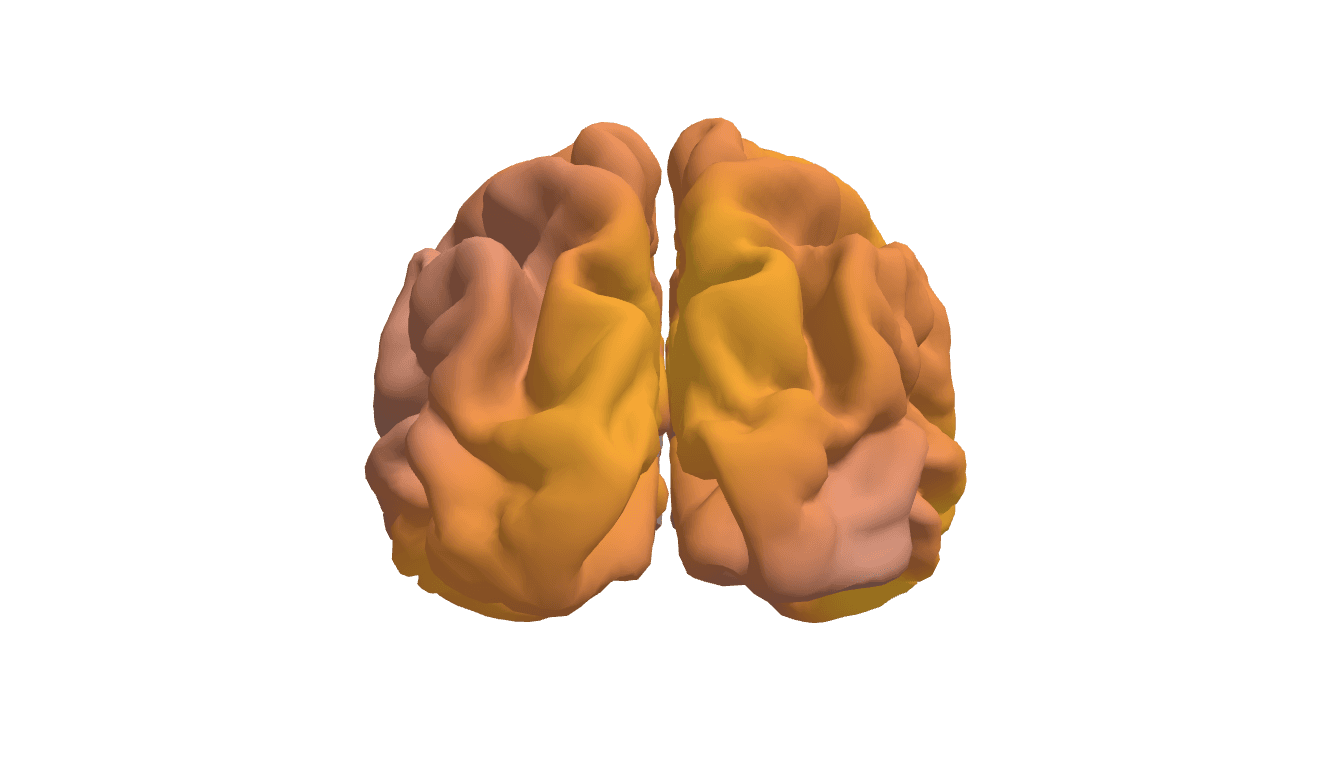 Axony brain-activation render, top-down view