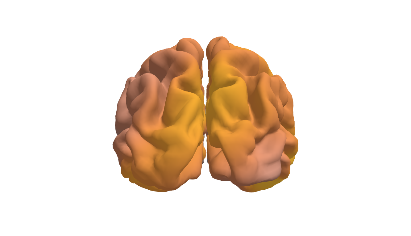 Axony brain-activation render, top-down view